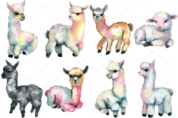 8 Alpaca Watercolor Llama Animal Bundle: Your Go-To Design Asset